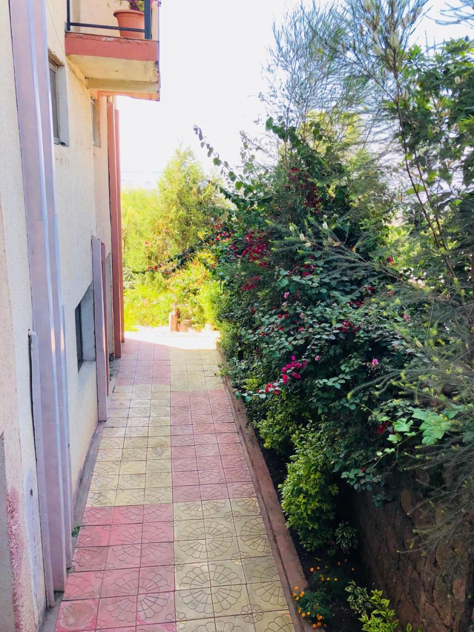 Red Rock Lalibela Hotel Esterno foto
